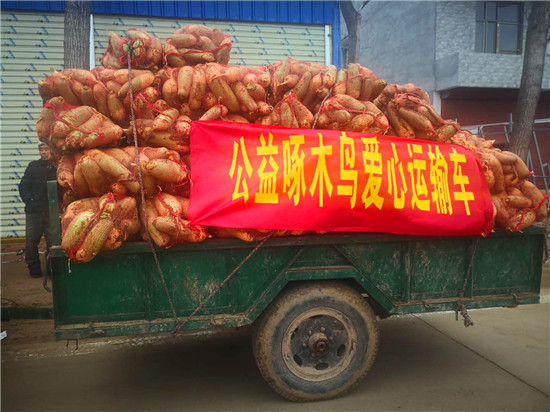 ＂愛心蘿卜＂來了！