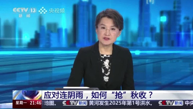 【主流媒體看周口】面對(duì)連陰雨 如何“搶”秋收？